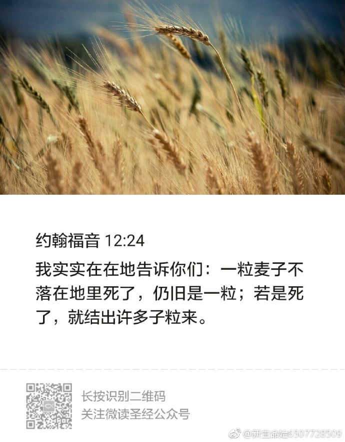 微读圣经苹果版我想下载微读圣经